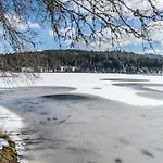 Am Schwellenweiher Feldberg (Baden-Wurttemberg)