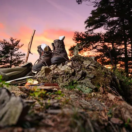 Am Schwellenweiher Appartement Feldberg (Baden-Wurttemberg)