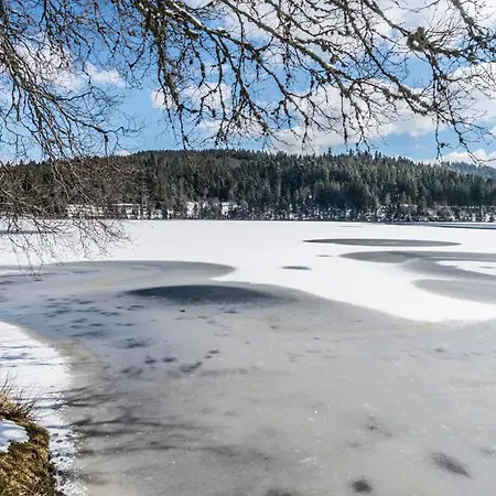Am Schwellenweiher Feldberg (Baden-Wurttemberg)