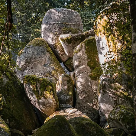 Am Schwellenweiher Apartman