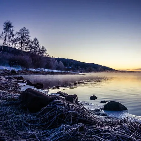 Am Schwellenweiher * Feldberg (Baden-Wurttemberg)