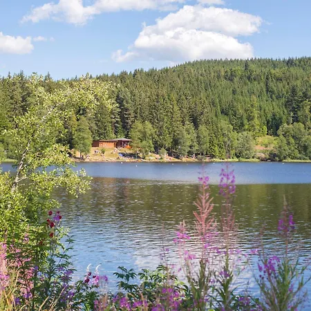 Apartman Am Schwellenweiher *