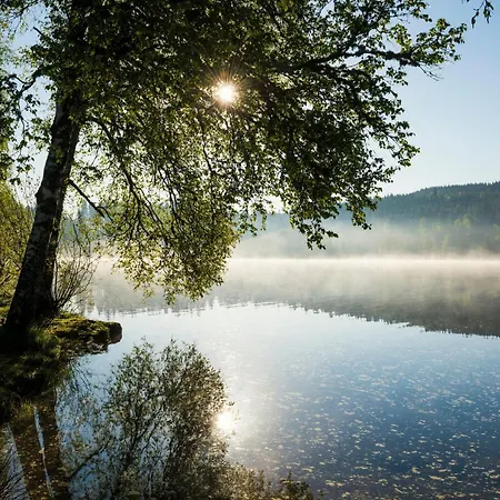 Apartmán Am Schwellenweiher